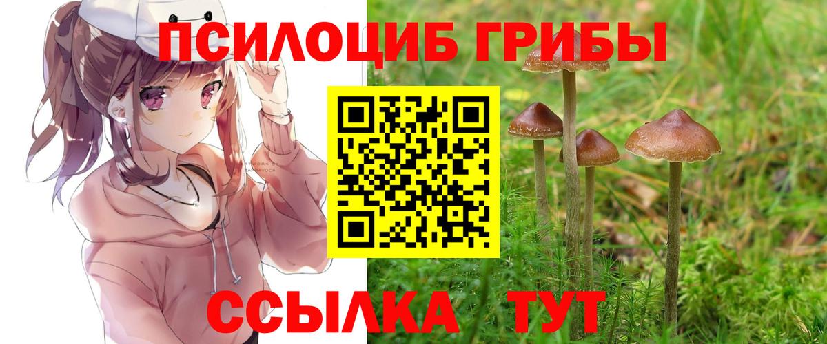 Самара  Псилоцибиновые грибы ЛСД  Вход с VPN 